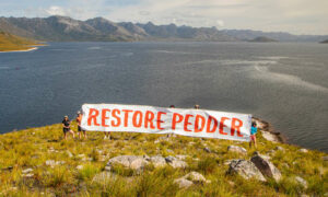 Restore Pedder Campaign Lobbying in Canberra 20