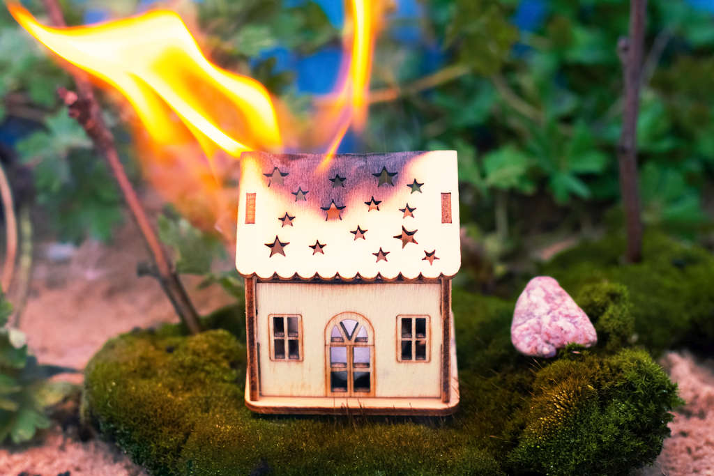 Tasmanians Can Help Crackdown on Arsonists 1