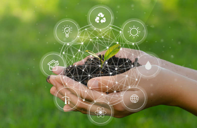 ACCC Report on Greenwashing by Businesses in Australia 1
