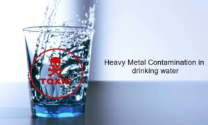 Heavy Metals in West Coast District Hospital Water 16