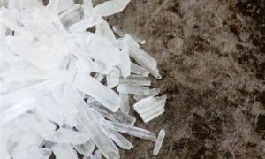 Alleged Drug Trafficker Intercepted at Hobart Airport 26
