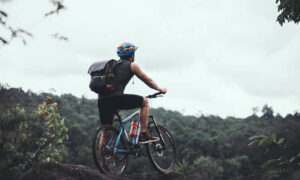 New Mountain Bike Tracks for Kunanyi 17
