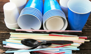 Southern Councils Taking Control of Waste 15