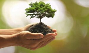 Planting Roots for International Women’s Day 6