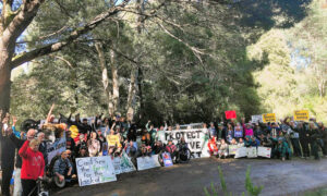 Protest Action for Maydena Forests 15