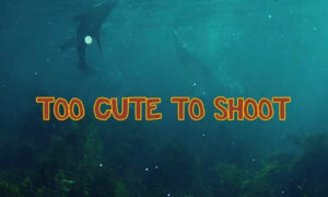 Campaign - 'Too Cute to Shoot' 32