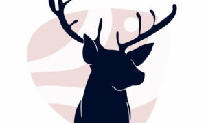 On Deer 'Management' ... 21