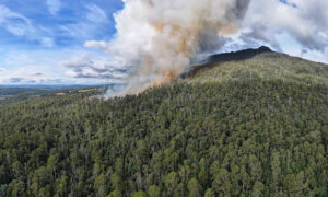 'Carbon Bomb Detonated' at Kooparoona Niara 15