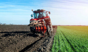 Prices Still Rising for Agricultural Land 5