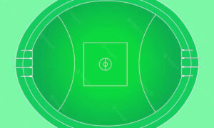 AFL Tasmania Euthanases State League Football 24