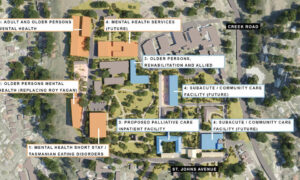 Plan to Transform St John's Park into Health & Wellbeing Precinct 17