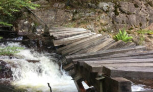 Building Bridges 10