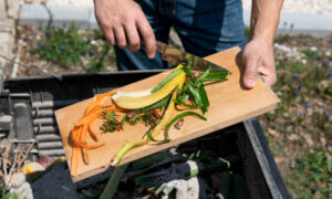 For Healthier Soil, Healthier Food ... Compost 17