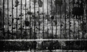 Convict Versus Flagellator a ‘Horrid and Wanton Outrage’ 27