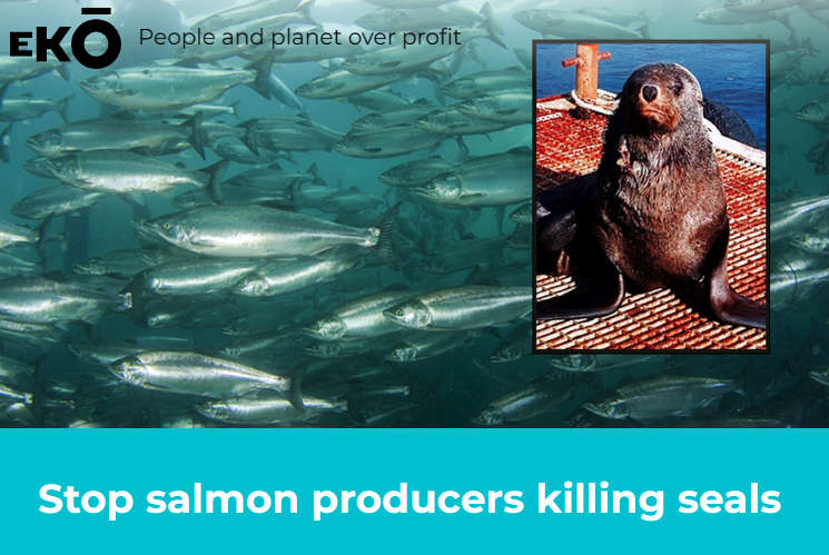 Petition - Stop Salmon Producers Killing Seals 1