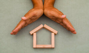 Greens Senators Half Right on Housing 5