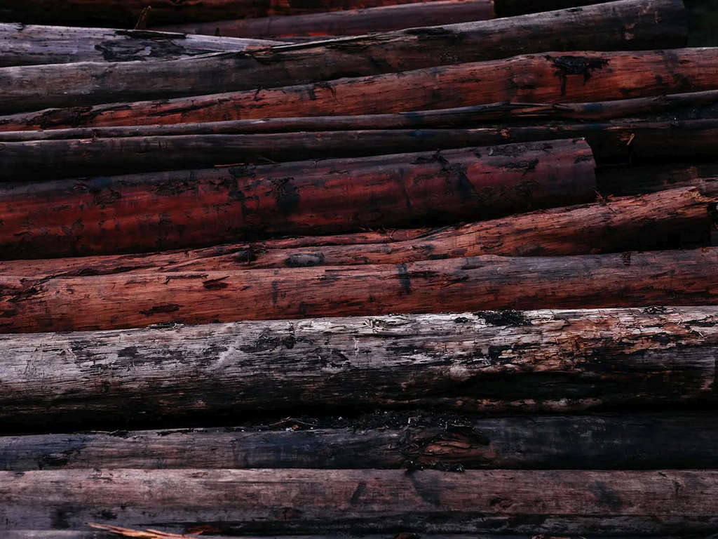 Opportunity to Invest in Hydrowood 4 Opportunity to Invest in Hydrowood 4