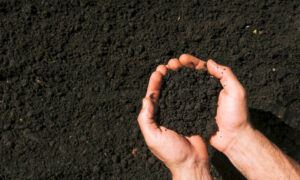 Free Soil Workshops to Help Farmers Improve Productivity 3