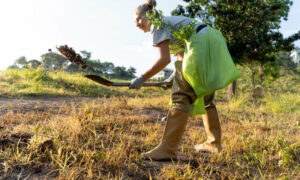 Tickets Now Available for Tasmania's Community Landcare Conference 22