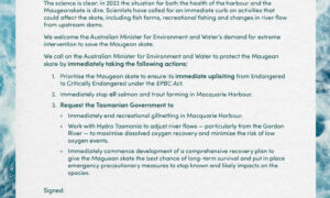 Global Groups Call for Action on Maugean Skate 19
