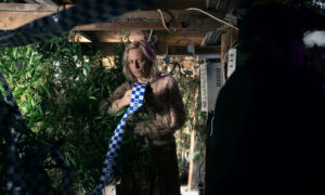 Bay of Fires Brings New Humour to Tradition of Australian Gothic 4