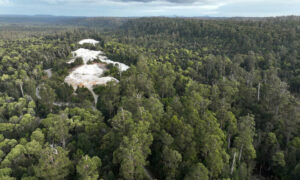 Plibersek Urged to Reconsider Hawkes Creek Mine Extension 1