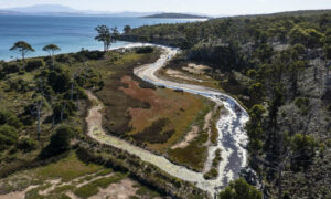 TLC Extends Sloping Main Reserve 3