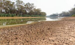 If El Niño is Expected, Why hasn't it Yet been Declared? 13