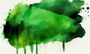 ACC Advice to Business on 'Greenwashing' 24