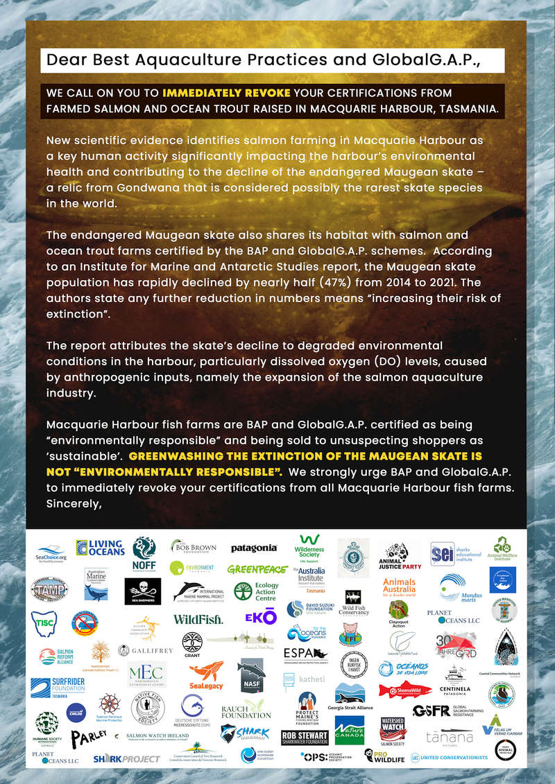 80 Groups Worldwide Demand Action on Maugean Skate, End to 'Sustainable' Certification 3 80 Groups Worldwide Demand Action on Maugean Skate, End to 'Sustainable' Certification 3