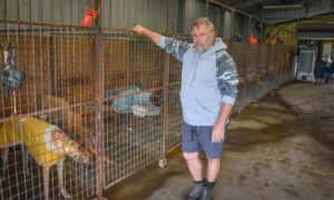 Greyhound Trainer Anthony Bullock Suspended by ORI 19