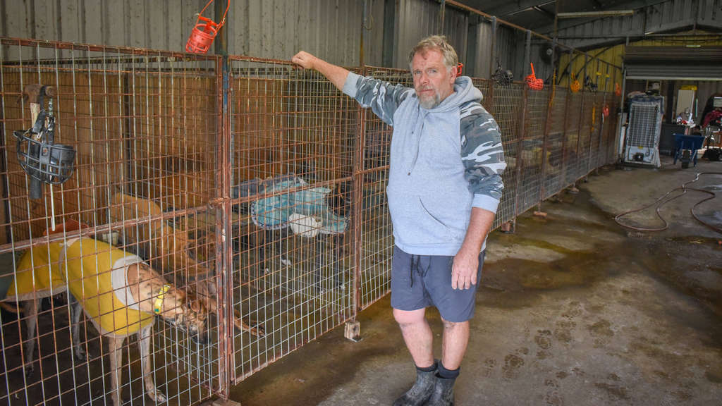 Greyhound Trainer Anthony Bullock Suspended by ORI 5