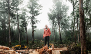 BBF: 'Labor Lops Forest Hopes' 3