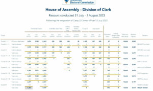 Vica Bayley Wins Clark Recount 8