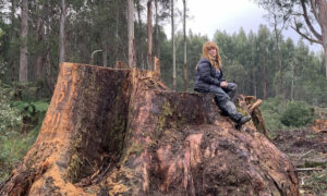 Forest Activists Return to Florentine Valley 5