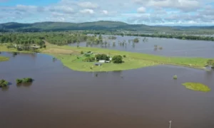 Climate Change Pushing Up Farm Insurance 11