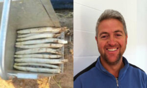Richard Weston Wins 'Unearthed Producer' Award for White Asparagus 1