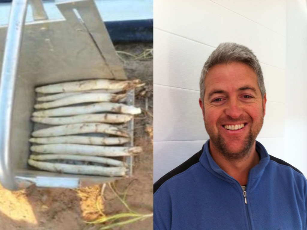 Richard Weston Wins 'Unearthed Producer' Award for White Asparagus 1
