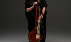 Lunchbox Concerts Return to Hobart Town Hall 8