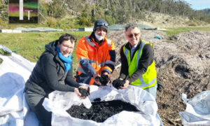 Biochar Pilot Under Way in Hobart 10