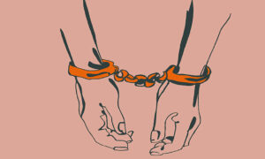 Redirect Finance to Avoid Soaring Prison Numbers 1
