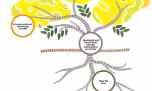 National Action Plan for the International Decade of Indigenous Languages 2022–2032 9