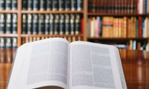 Adoption of New & Inclusive Intersex References 14