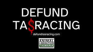 Greyhound Trainer Anthony Bullock Banned for Life 10 Greyhound Trainer Anthony Bullock Banned for Life 10