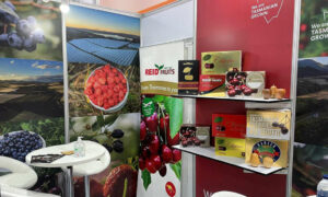 Strong Tasmanian Contingent at Asia Fruit Logistica 20