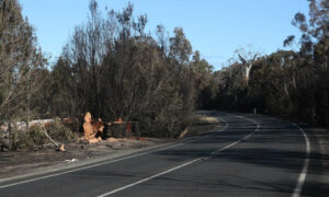 Major Backburn in Coles Bay Area 25