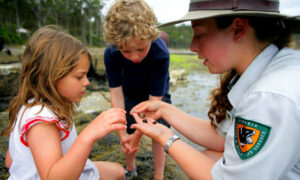 Discovery Ranger Applications Open 17