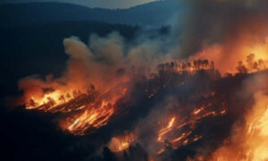 Coles Bay Rd Closed Due to Bushfire 3