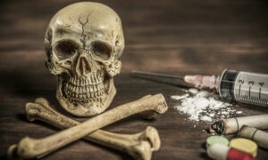 Tasmanian Drug Strategy 24