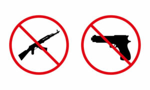 Tasmanian Gun Reforms Hang in the Balance as Committee Meets for First Time 1